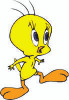 Tweety 01
