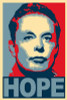 elon musk HOPE