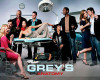 Greys Anatomy Tv Show 2