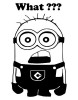 Minion What Decal