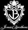 Jonas Brothers Band Decal