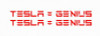 TESLA BRAND DECALS 13 genius PAIR