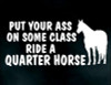 Class On Quarter Horde Vinyl Decal