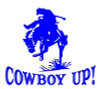 Cowboy Up Saddle Bronco Decia