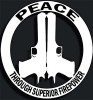 handgun peace thru firepower decal