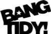 BANG TIDY funny diecut car decal