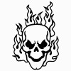 Flaming Skull 1 Vinyl Sticker 1808