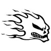 Flaming Skull 9 Decal 1813