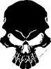 Skull Vinyl Decal Sticker 14