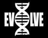 DNA EVOLVE DIE CUT DECAL