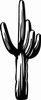 Cactus Decal Cactus Decal