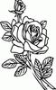 Rose Decal 2