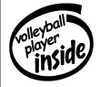 Volleyball Player Inside Diecut Vinyl Decal Volleyball Player Inside Diecut Vinyl Decal