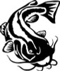 Flathead Catfish Wall or Window Decal