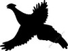 Duck Hunting Decal PHESANT Sticker 13