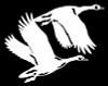 goose hunting decal