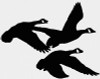 Three Geese Vinyl Truck Decal 1639