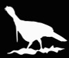 Turkey Vinyl Hunting Decal
