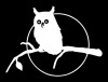 Hunting Diecut OWL Decal 02