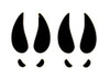 Deer Tracks Decal 1610