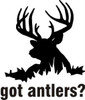 Got Antlers Diecut Decal