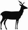 Hunting Decal Sticker 3839