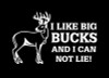 I like Big Bucks Funny Hunting Sticker