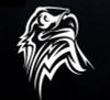 eagle head usa car decal