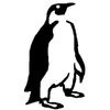 Penguin decal 364