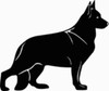 German Shepard Dog Decal 15m