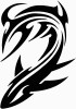 tribal shark 456
