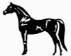 Vinyl Horse Stickers Wall Decals 03