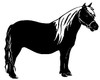 Vinyl Horse Stickers Wall Decals 15