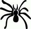 Spyder Decal 5