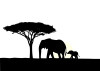 African Animal Decal 08