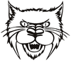 Bobcat Vinyl Diecut Decal Sticker 3