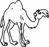 Camel Die Cut Decal 159a