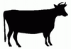 Cow Animal Decals 01