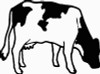 Cow Animal Decals 06
