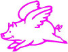 Pig Flying Funny Car Decal