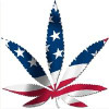 Marijuana USA FLAG Decals4
