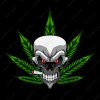 weed cannabis marijuana skull sticker 33