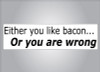 Either you like bacon or youre wrong bumper sticker