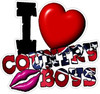 I love country boys rebel sticker