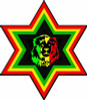 RASTA STAR LION STICKER