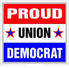 Color Political Color Decals and Sticker 11