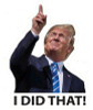 I DID THAT TRUMPFLATION POLITICAL STICKER