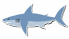shark sticker 4