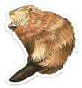 Beaver Animal Sticker