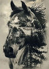 HORSE AI ART STICKER 10